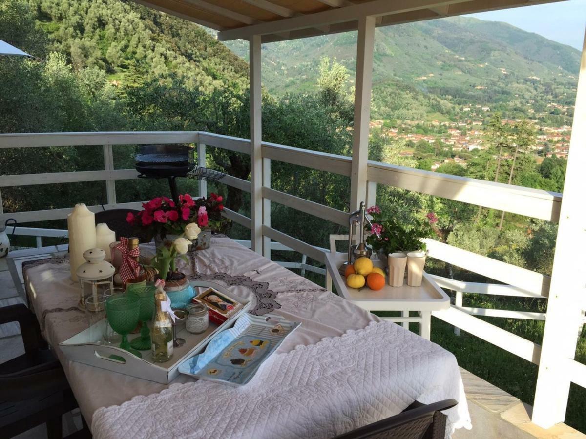 Valuable Rustic Tuscan Swimming Pool, Breathtaking View Of Camaiore Eksteriør bilde